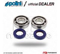 Polini Kit Revisione Albero Motore 282.0004 Derbi Piaggio Cuscinetti + Paraoli