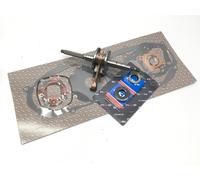 KIT REVISIONE ALBERO MOTORE MALAGUTI F15 FIRE FOX TWIN DISKS & SPEC 50 1998