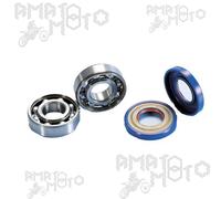 KIT REVISIONE ALBERO MOTORE PARAOLIO+CUSCINETTO PIAGGIO VESPA 125 (1948-1952)