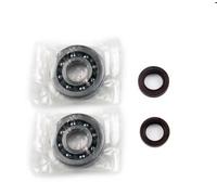 KIT REVISIONE ALBERO motore per Motori scooter PIAGGIO. Il Kit è composto da 2 C