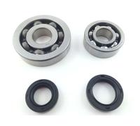 KIT REVISIONE ALBERO MOTORE PER SCOOTER PIAGGIO 504T DEL 2002 25X56X12 COD 2118C