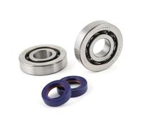 KIT REVISIONE ALBERO MOTORE PIAGGIO POLINI