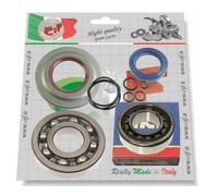 KIT REVISIONE ALBERO MOTORE PIAGGIO VESPA PX 125 T5 CON PARAOLIO