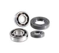 Rms Derbi 50cc 100200565 Crank Shaft Bearing&seal Kit Argento
