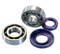 Kit Cuscinetti Revisione Albero Motore Polini Ape Vespa 50/125 HP PK Cono 20mm