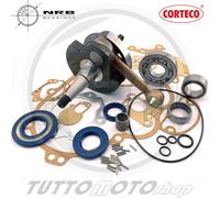 KIT REVISIONE ALBERO MOTORE VESPA P125X / P150X CUSCINETTI PARAOLI GUARN.