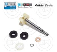 AP0220356 KIT REVISIONE ALBERO POMPA ACQUA LEONARDO SCARABEO 125/150/200 MOTORE ROTAX