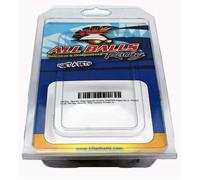 KIT REVISIONE CARBURATORE Arctic Cat Fire Cat 500 2006