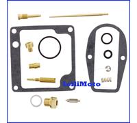 KIT REVISIONE CARBURATORE Completo di Spillo Kawasaki Z1 900 1973