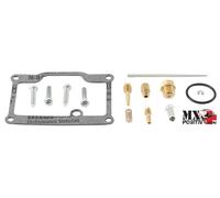 KIT REVISIONE CARBURATORE POLARIS 350L 2X4 1993 ALL BALLS 26-1034