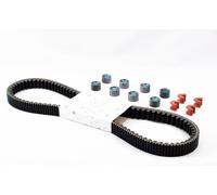Kit revisione cinghia PIAGGIO MP3 350 HPE Sport E4 ABS 2018-2019