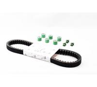 Kit revisione cinghia PEUGEOT Satelis 1 250 H2O 4T dal 2006 al 2010