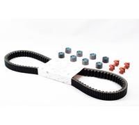 Kit revisione cinghia PIAGGIO BV 350 IE 4T E3 dal 2012 al 2014