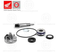 Vparts Fs-151 Water Pump Rebuild Kit Argento
