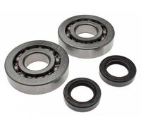 KIT REVISIONE CUSCINETTI E PARAOLI BANCO PER MOTORI PIAGGIO 50 cc 2T AD ARIA