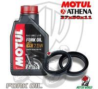KIT REVISIONE FORCELLA PARAOLI ATHENA OLIO MOTUL SUZUKI GZ MARAUDER 250 cc