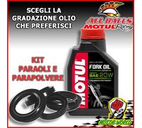 KIT REVISIONE FORCELLA PARAOLI PARAPOLVERE OLIO BETA REV 2T 250 2005-2008