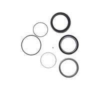 KIT REVISIONE FOX RACING SHOX TRANSFER 30.9/31.6MM 125H DAL 2025 PER MTB