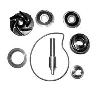 KIT REVISIONE GIRANTE Piaggio 125-200 Vespa Granturismo - X8 - X9 Beverly