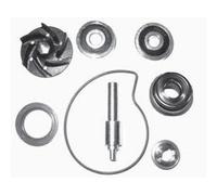 KIT REVISIONE GIRANTE Piaggio 250 Dal 2006 al 2008 Beverly - Vespa GTS - GTV - X