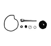 KIT REVISIONE GIRANTE Piaggio Beverly 500 cc - 2002/2004