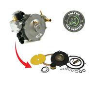 Kit Busta Revisione Riduttore Polmone GPL Impianto Landi Renzo TYPE LSE98 LI10