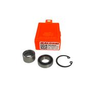 KIT REVISIONE MALOSSI FRIZIONE SEMI PULEGGE OVER RANGE PIAGGIO CIAO SI BRAVO ECC
