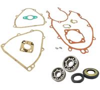 KIT REVISIONE MOTORE 50 CONO 20 CUSCINETTI GUARNIZIONI E PARAOLI
