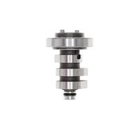 Kit revisione motore Adatto per YAMAHA Zuma Adatto per BWS 125 Adatto per NMAX 125 155 X-MAX S-MAX 125 155 Albero a camme 2DP-E2170-00 Guarnizioni Motore