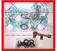 KIT REVISIONE MOTORE APRILIA RS 125 ROTAX 122 Guarnizioni Paraolio Biella