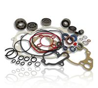 KIT REVISIONE MOTORE COMPLETO AM6 Cuscinetti SKF + 7 Paraoli + Guarnizioni