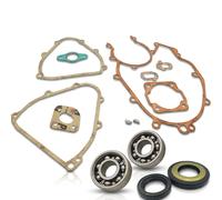 KIT REVISIONE MOTORE CONO 20 CUSCINETTI SKF GUARNIZIONI PARAOLI PIAGGIO Ape TM