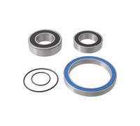 KIT REVISIONE MOTORE EBIKE BOSCH GEN2 PERFORMANCE CX ASSE PEDIVELLE WAG
