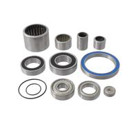 KIT REVISIONE MOTORE EBIKE BOSCH GEN2 PERFORMANCE/PERFORMANCE CX COMPLETO WAG