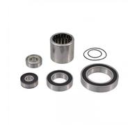 Kit Revisione Motore Ebike Bosch GEN3 Active Line Plus Ricambio Completo
