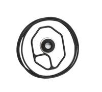 Kit revisione motore Guarnizione di tenuta del compressore, guarnizione di tenuta dell'albero, set adatto per Nippon 10PA15C 17C 20C Zexel DKS CV11A Denso 10PA15 10PA17 Guarnizioni Motore(10 sets)