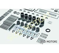KIT REVISIONE MOTORE MERCEDES OM 423 A LA PISTONE CANNA BRONZINA BANCO BIELLA