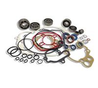 KIT REVISIONE MOTORE MINARELLI AM,1 2 3 4 5 6 tutti i cuscinetti e paraoli banco C3