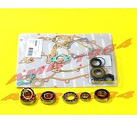 KIT REVISIONE MOTORE VESPA 125 ET3 GUARNIZIONI + PARAOLIO + con CUSCINETTO RULLI