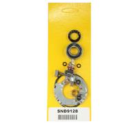 KIT REVISIONE MOTORINO D'AVVIAM. - SPAZZOLE DUCATI Monster 695 07-08 ARROWHEAD