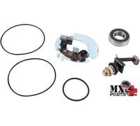 KIT REVISIONE MOTORINO D'AVVIAMENTO CON SPAZZOLE LYNX RAVE XT N-DURO 550 2006...