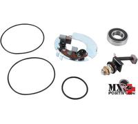 KIT REVISIONE MOTORINO D'AVVIAMENTO CON SPAZZOLE LYNX SUPER TOURING 800 2002 ...