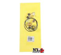 KIT REVISIONE MOTORINO D'AVVIAMENTO SENZA SPAZZOLE BMS MOTOR SPORTS 250cc Uti...