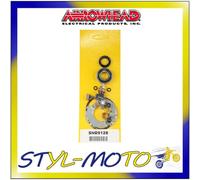 KIT REVISIONE MOTORINO D'AVVIAMENTO -SPAZZOLE ARROWHEAD DUCATI MONSTER 600 2001