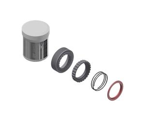 KIT REVISIONE MOZZO DTSWISS RATCHET 36D EXP PER RUOTE CICLISMO COMPLETO