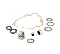 Kit revisione mozzo posteriore Ciao Si Bravo Boxer monomarcia