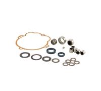 KIT REVISIONE MOZZO POSTERIORE CUSCINETTI RUOTA CARTER INGRANAGGI PER PIAGGIO GR