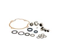 KIT REVISIONE MOZZO POSTERIORE CUSCINETTI RUOTA CARTER INGRANAGGI PER PIAGGIO SI