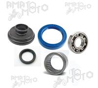 KIT REVISIONE MOZZO RUOTA POSTERIORE APE50 DAL 1980 AL 1986