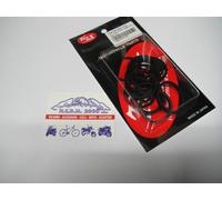 Kit revisione per coppia pinze freno anteriore Yamaha XJR 1200 1997 V149